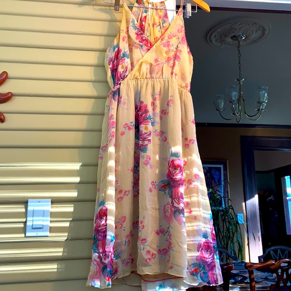 Anthropology MEADOW RUE Floral Silk Midi Dress s6